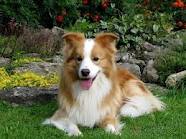 images[11]