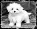 imagesCAP11U0A