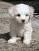 imagesCAESRBG3