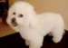 imagesCARSSASF